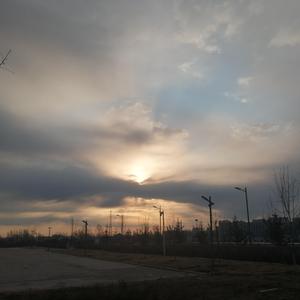 黑獸2高傲圣女第2集免费
