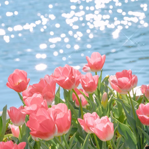 黑獸2高傲圣女第2集免费
